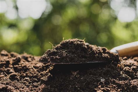 loam in tagalog|LOAM Meaning in Tagalog .